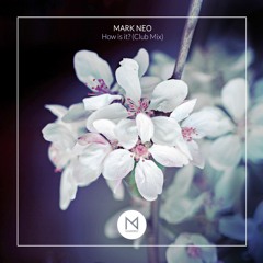 Mark Neo - How is it ? (Club Mix)