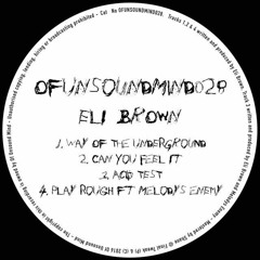 Eli Brown & Melody's Enemy - Playing Rough