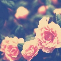 Ya Nabi Salam Alaika _Arabic Version