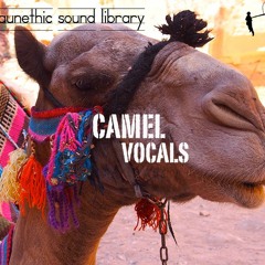 Camel Faunethic Sound Library Preview