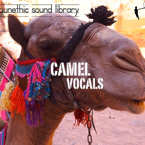 Camel Faunethic Sound Library Preview
