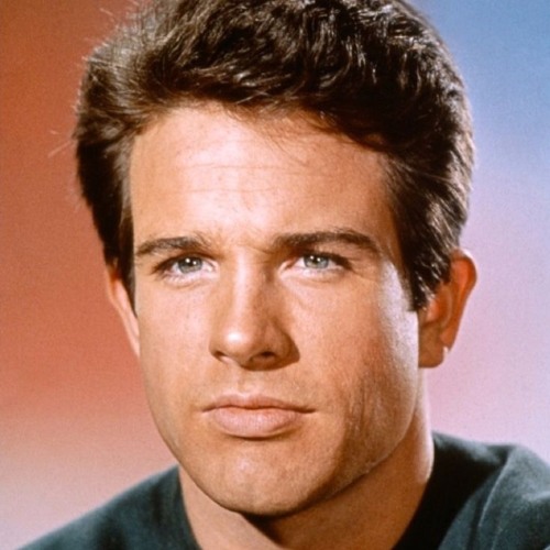 Warren on sale beatty hair