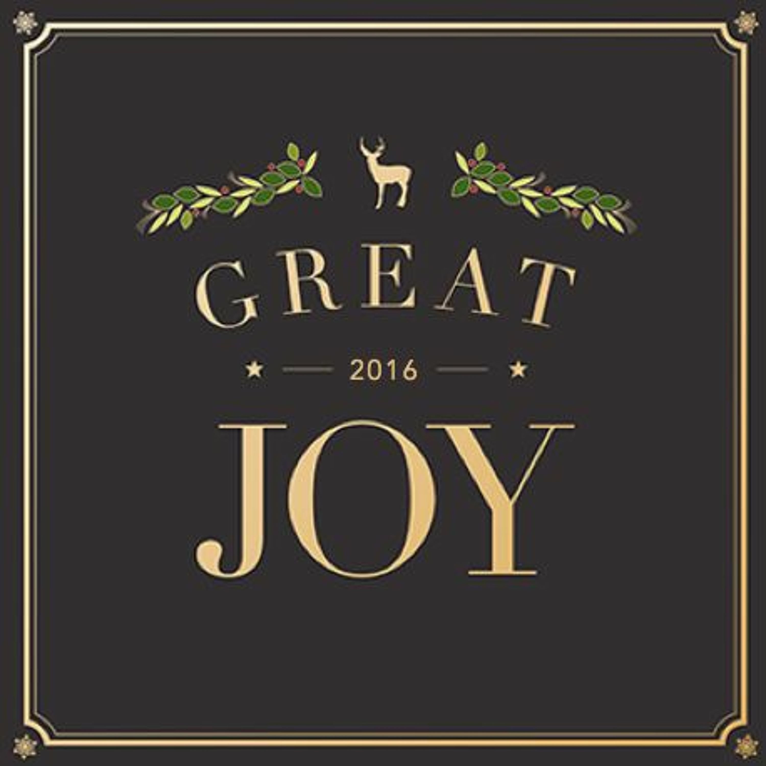 2016 - 12 - 04 - Joy in the Dark - Pastor Heidi Pagels episode artwork