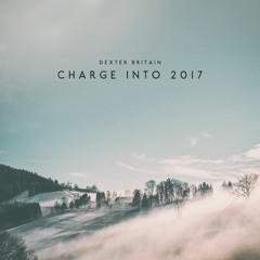 Charge Into 2017