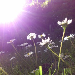 Synesthesia (No Vocals)