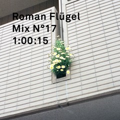 Roman Flügel Mix Nº17