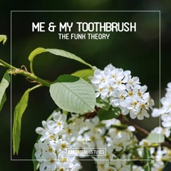 Me & My Toothbrush - The Funk Theory