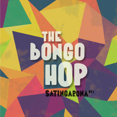 "El Terrón" The Bongo Hop Feat. Nidia Góngora