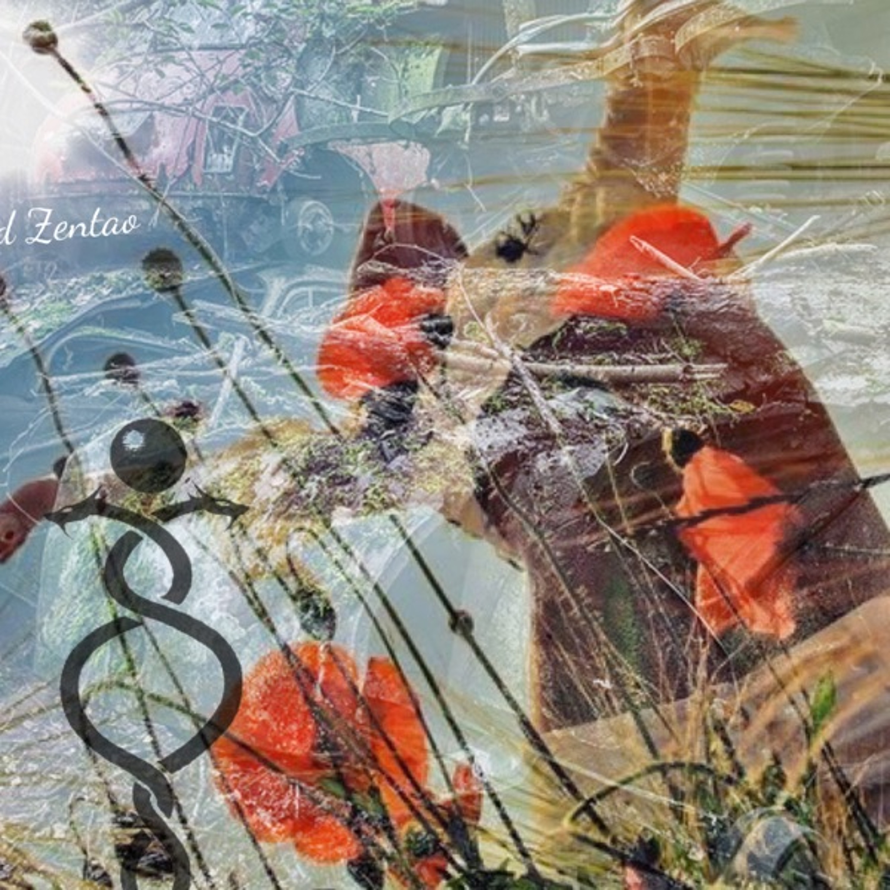 davidzentao new away system electropop mix at Orléans, France episode artwork