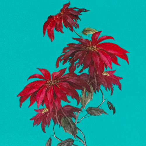 Best Night Ever - Caught Up