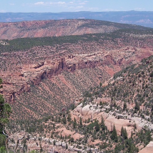 Commissioners OK With Roadless Rule Exception