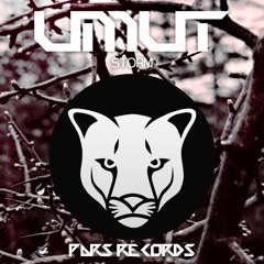Storm (Original Mix) [Available 15/01/17]