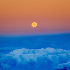 Great Fight With Mr Goodnite