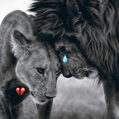 New Heart New Tears