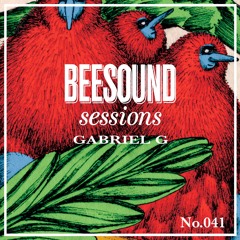 Beesound Music Sessions 041 mixed by Gabriel G