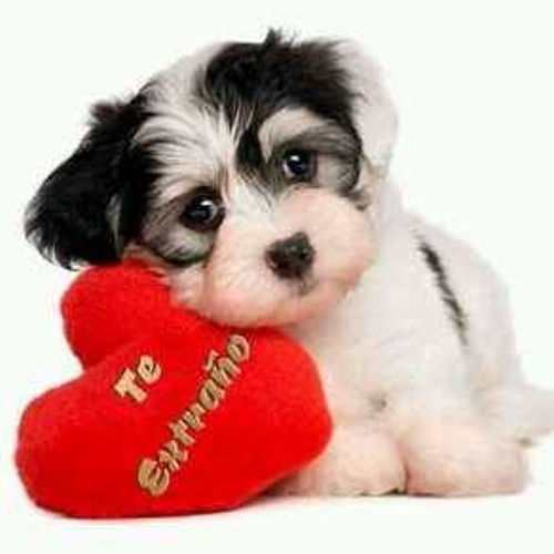 !!.🎵BALADA YO TE EXTRAÑO CADA DIA MAS 😢💔- LOOP HIP.HOP.!!😎EL.CHRISTIAN.DJ.REMIX⏯.!!