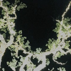 What The Heart is For