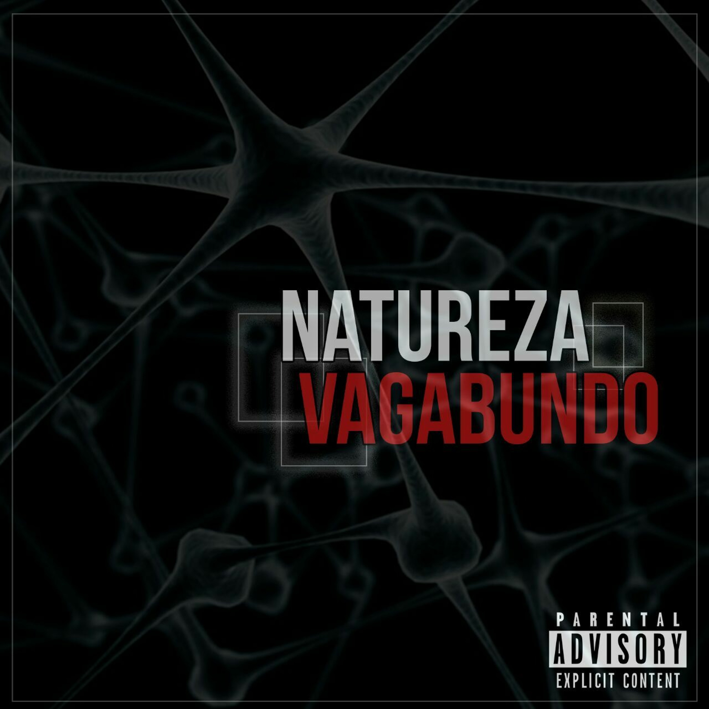 Natureza Vagabundo episode artwork