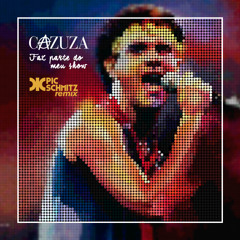 Cazuza - Faz Parte Do Meu Show (Pic Schmitz Remix)