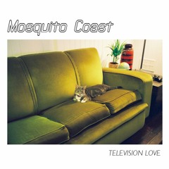 Television Love