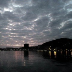 ZOO WEE Live @ Olive Tree 24112016_02movement