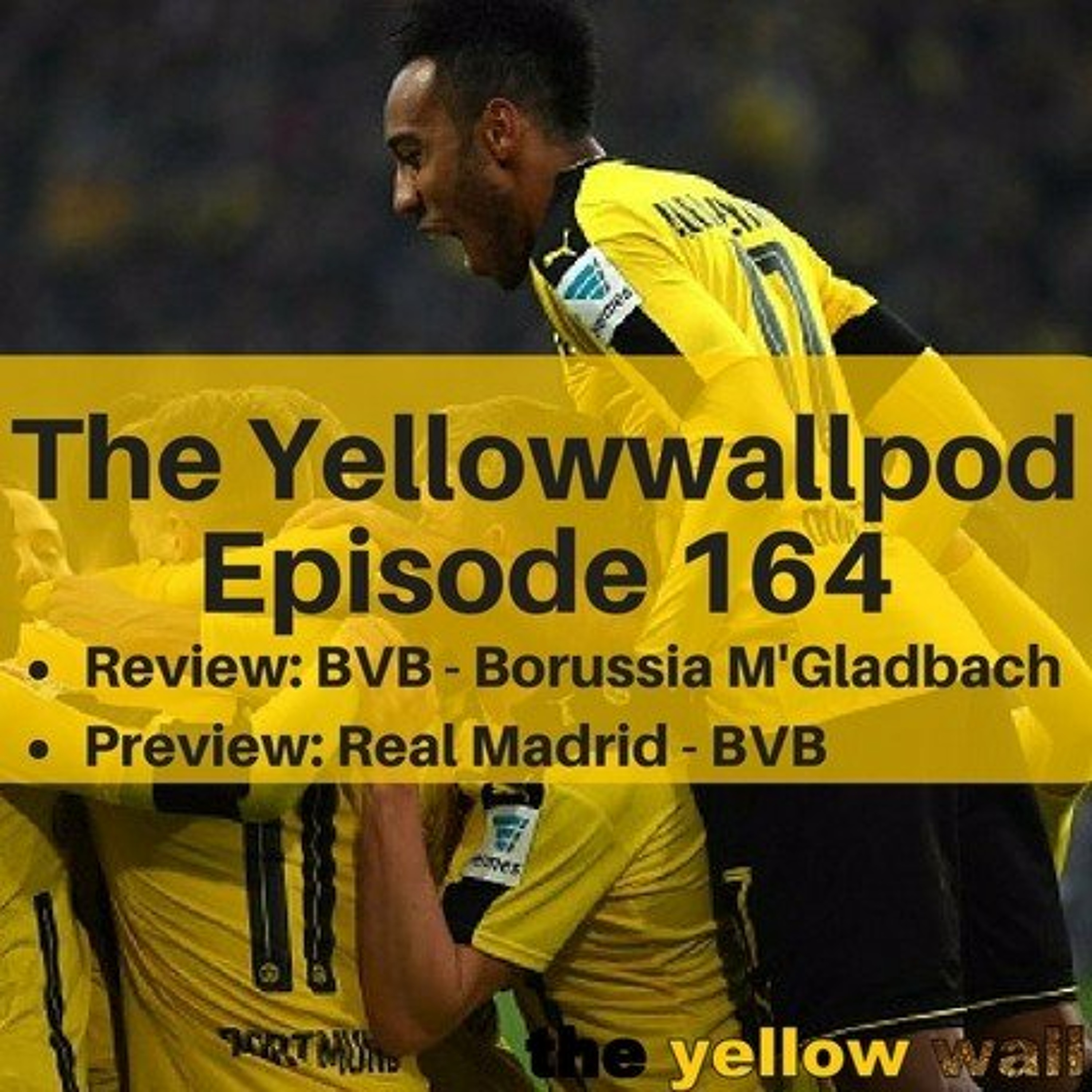 Yellowwallpod