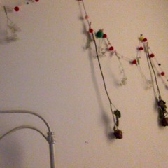 ode to franklin gooper (the turtle)