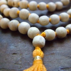 Gopala Govinda Rama Japa Meditation With Jagad Guru Siddhaswarupananda