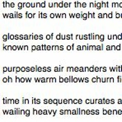 the ground under the night moans like we do