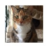 89: Bunny Hofberg, Frankie's Feline Fund