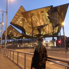 2016_11 Back To Chill  live mix