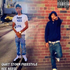 Quiet Storm Freestyle 🔥🔥‼️