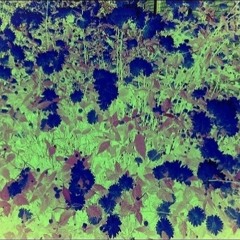 BETHY - honey bee(the humachine mix)