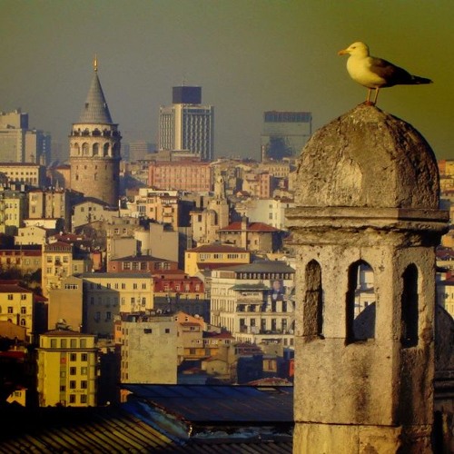 Dogan Sezen - Deep Sound Story #2 (Radiodeepsound)