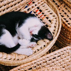 can't sleep without your goodnight