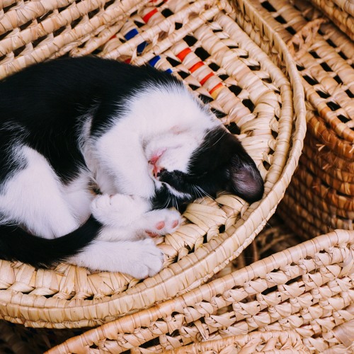 can't sleep without your goodnight