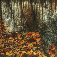 Lilburn's Impression