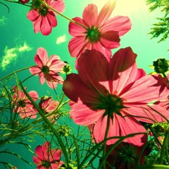 A.- Armastusel On Imeline Jõud