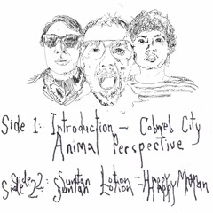 COTB#01 Side B Cobweb City-Suntan Lotion Cassingle