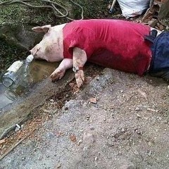 Пытаясь встать из грязи