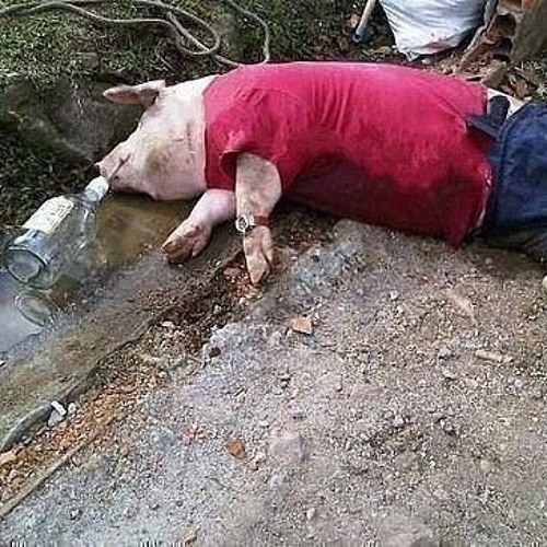 Пытаясь встать из грязи
