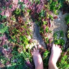 Vodyn3- Philippe Lamy/Sandrine Deumier.