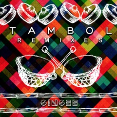 Gingee - Gong Spirits (Subatomica Remix)