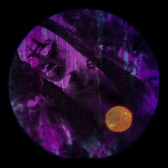 Anna Patrini - Szept Ucha (Radicall Remix)