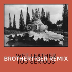 Too Serious (Brothertiger Remix)