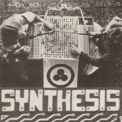 Planetary Peace - Synthesis (Excerpts)