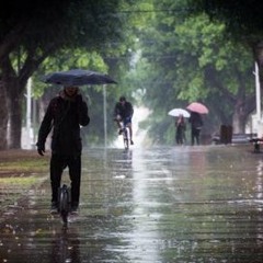 Indigo Groove - Rain Guitars