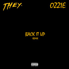 THEY. - Back It Up (OZZIE Remix)