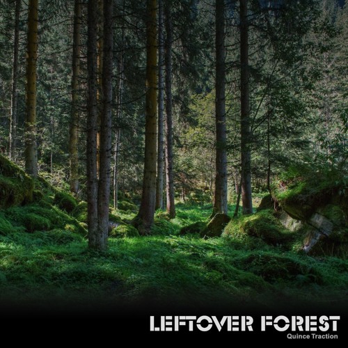 Leftover Forest (Max Richter: Leftovers OST Remix)