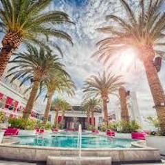 What you need - Dayday808 x Mdot